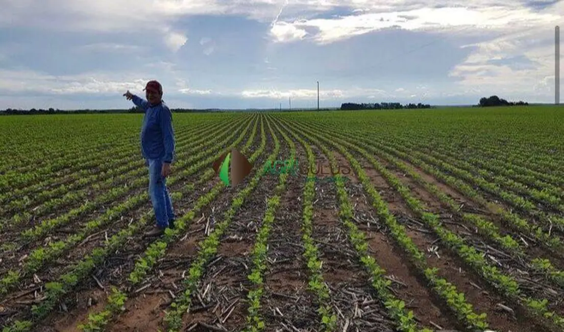 Fazenda / Haras à venda, 13080m2 em Redencao - PA - imagem 9 Foto 9 de Fazenda / Haras à venda, 13080m2 em Redencao - PA