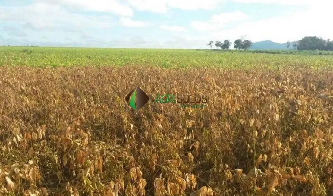 Fazenda / Haras à venda, 13080m2 em Redencao - PA - imagem 4 Foto 4 de Fazenda / Haras à venda, 13080m2 em Redencao - PA