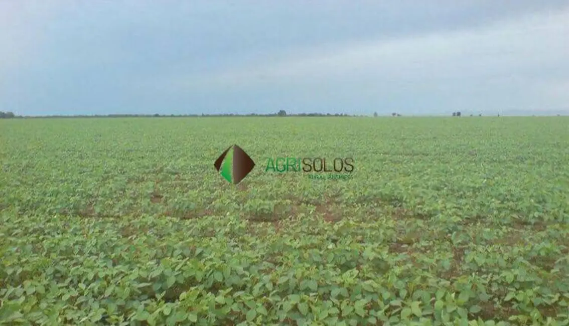 Fazenda / Haras à venda, 13080m2 em Redencao - PA - imagem 3 Foto 3 de Fazenda / Haras à venda, 13080m2 em Redencao - PA