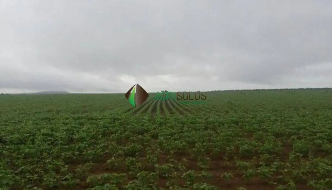 Fazenda / Haras à venda, 13080m2 em Redencao - PA - imagem 2 Foto 2 de Fazenda / Haras à venda, 13080m2 em Redencao - PA