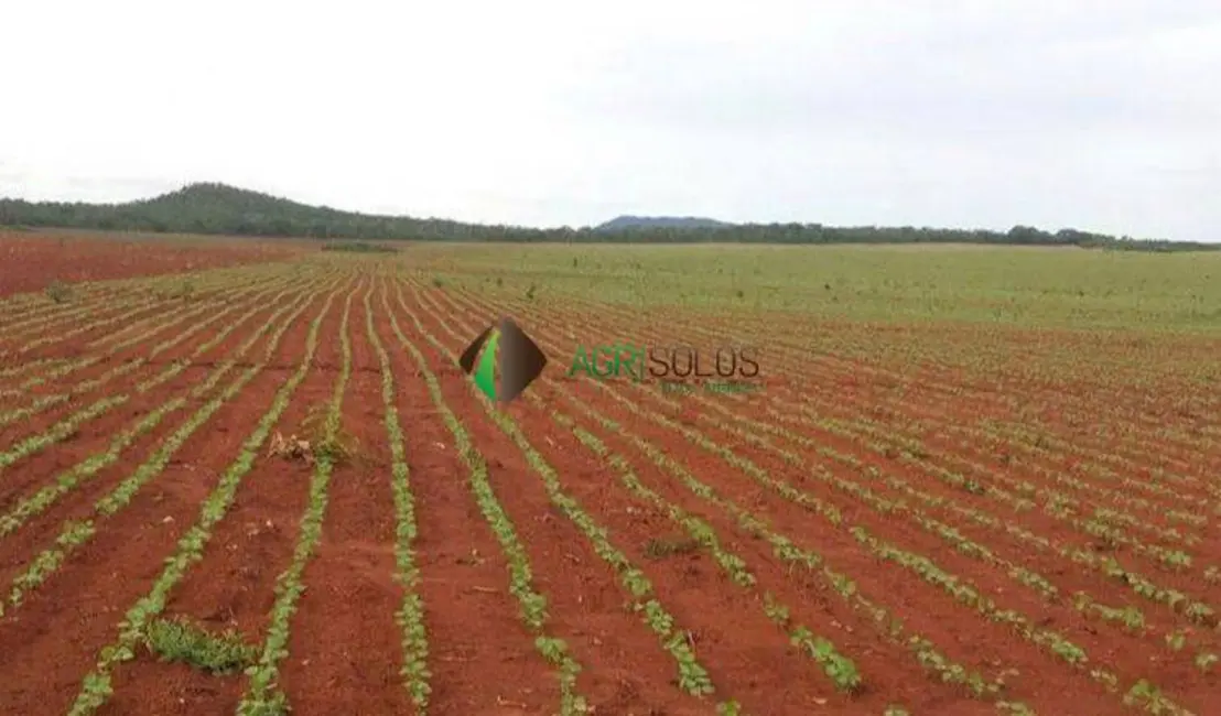 Fazenda / Haras à venda, 13080m2 em Redencao - PA - imagem 6 Foto 6 de Fazenda / Haras à venda, 13080m2 em Redencao - PA