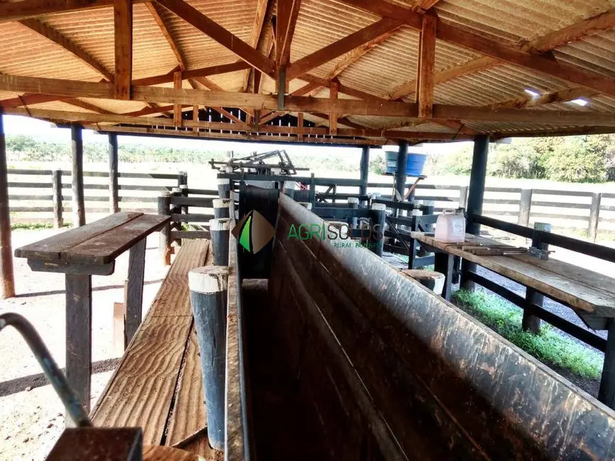 Terreno / Lote à venda, 5000m2 em Xinguara - PA - imagem 2 Foto 2 de Terreno / Lote à venda, 5000m2 em Xinguara - PA