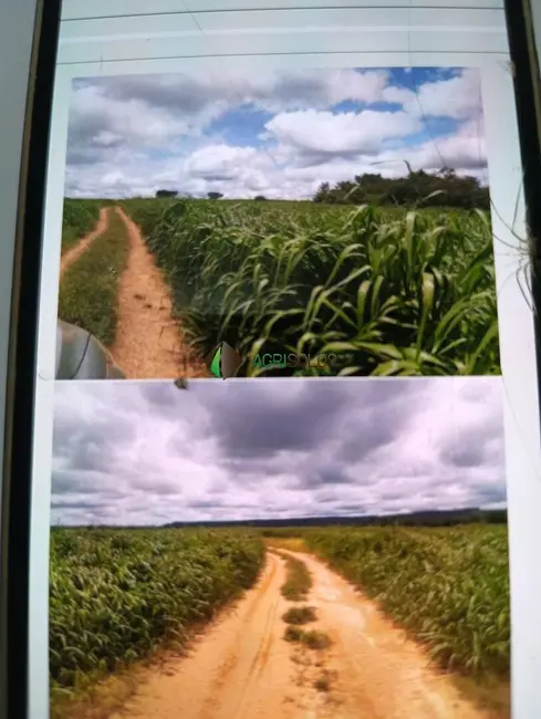 Foto 4 de Chácara à venda, 28114m2 em Araguaina - TO