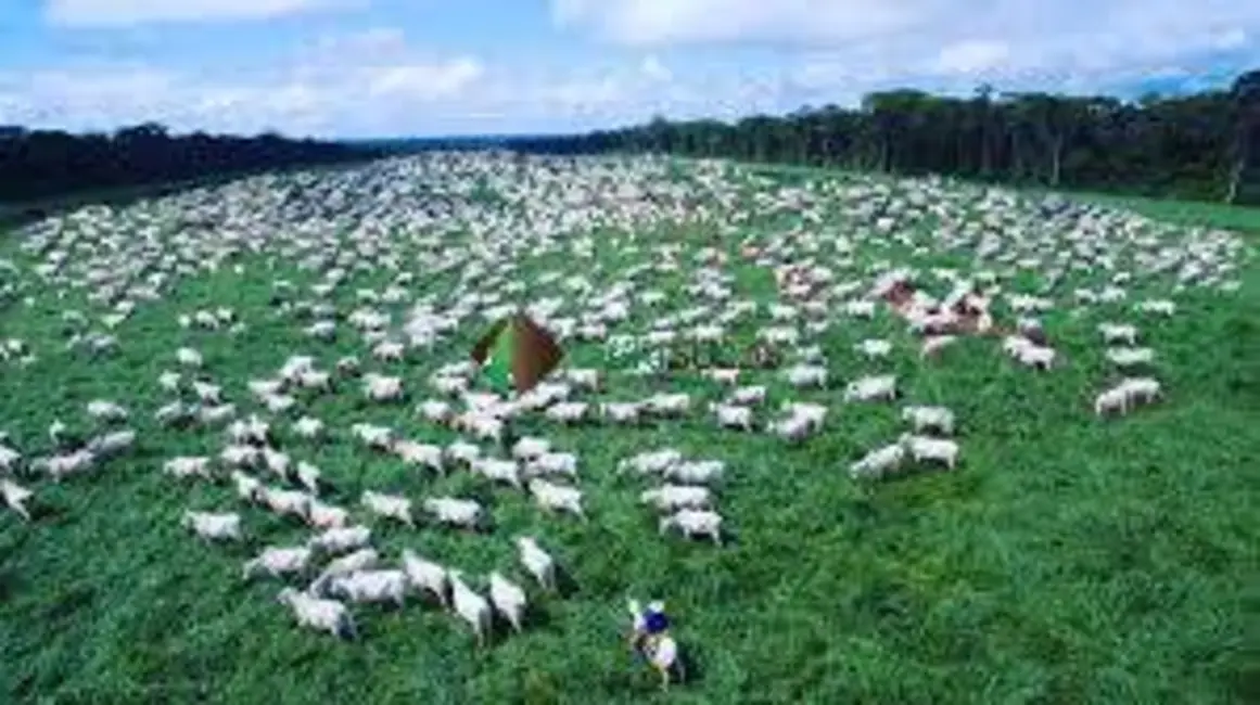 Foto 1 de Fazenda / Haras à venda, 8596m2 em Palmas - TO