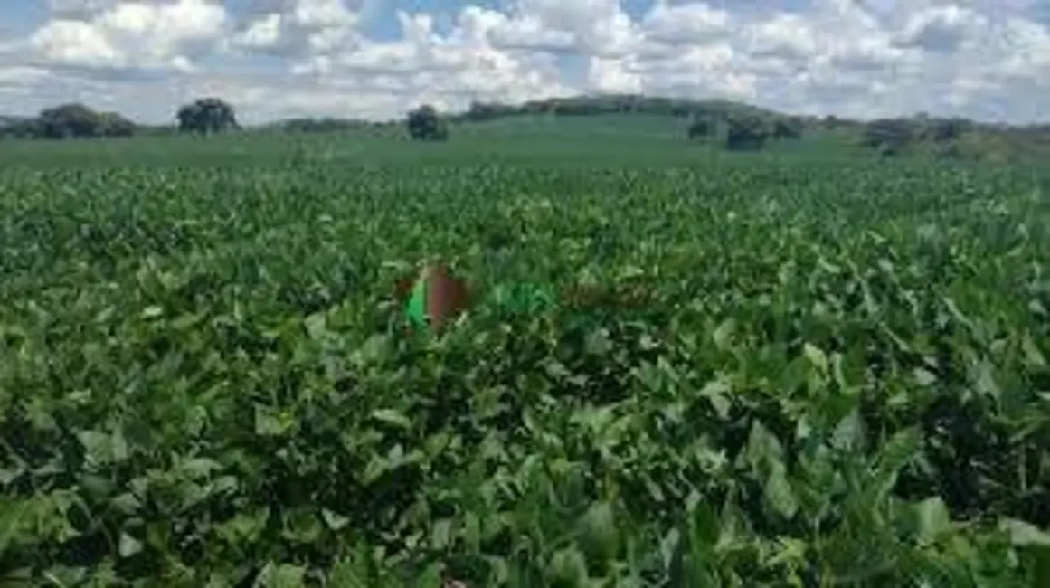 Foto 3 de Fazenda / Haras à venda, 18113m2 em Araguaina - TO