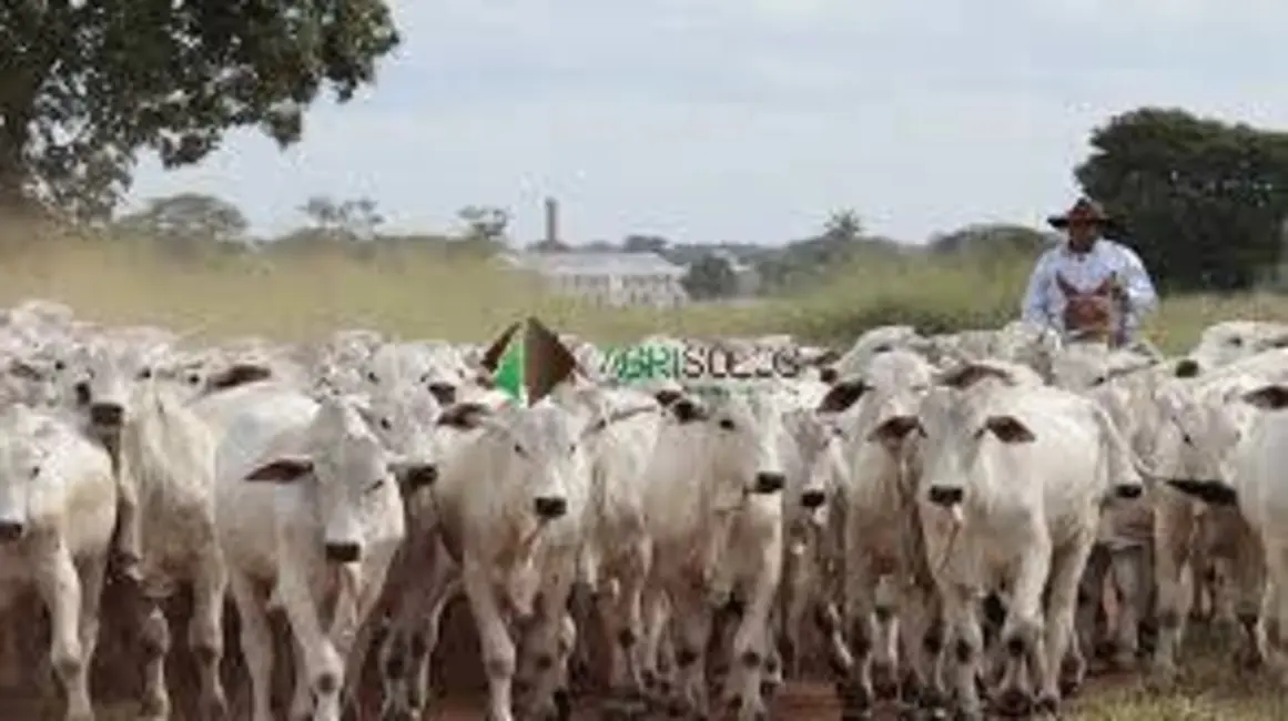 Foto 2 de Fazenda / Haras à venda, 18113m2 em Araguaina - TO