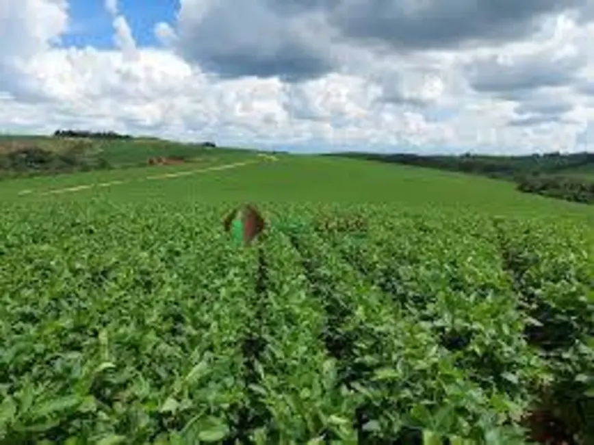 Foto 4 de Chácara à venda, 17125m2 em Palmas - TO
