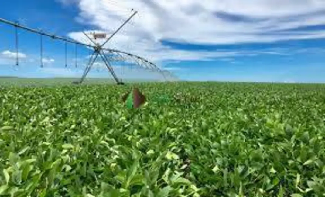 Foto 5 de Chácara à venda, 3500m2 em Belo Horizonte - MG