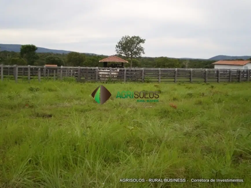 Fazenda / Haras à venda, 18876m2 em Gurupi - TO - imagem 8 Foto 8 de Fazenda / Haras à venda, 18876m2 em Gurupi - TO