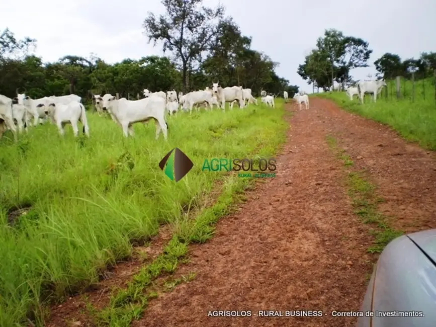 Fazenda / Haras à venda, 18876m2 em Gurupi - TO - imagem 2 Foto 2 de Fazenda / Haras à venda, 18876m2 em Gurupi - TO