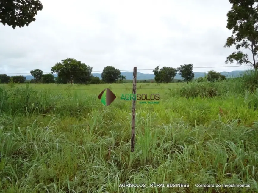 Fazenda / Haras à venda, 18876m2 em Gurupi - TO - imagem 5 Foto 5 de Fazenda / Haras à venda, 18876m2 em Gurupi - TO