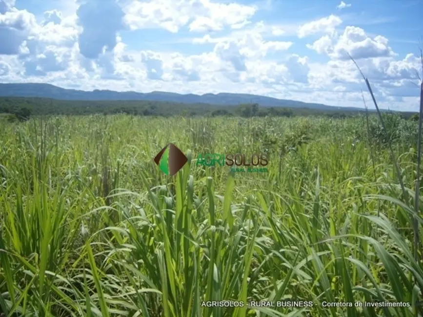 Fazenda / Haras à venda, 18876m2 em Gurupi - TO - imagem 7 Foto 7 de Fazenda / Haras à venda, 18876m2 em Gurupi - TO