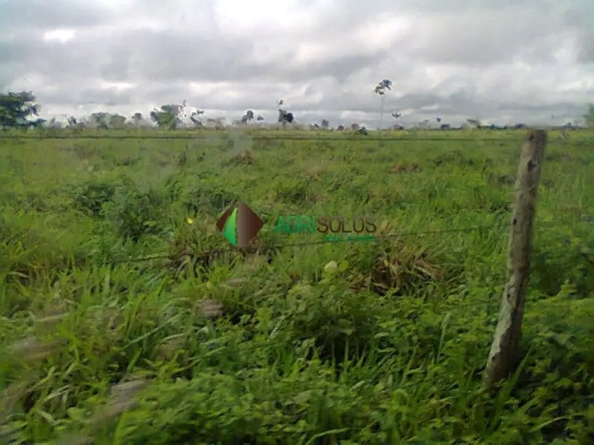 Foto 8 de Fazenda / Haras à venda, 3600m2 em Porto Franco - MA