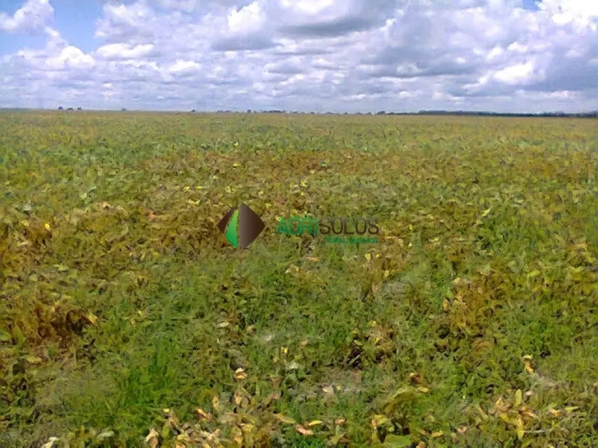 Foto 6 de Fazenda / Haras à venda, 3600m2 em Porto Franco - MA