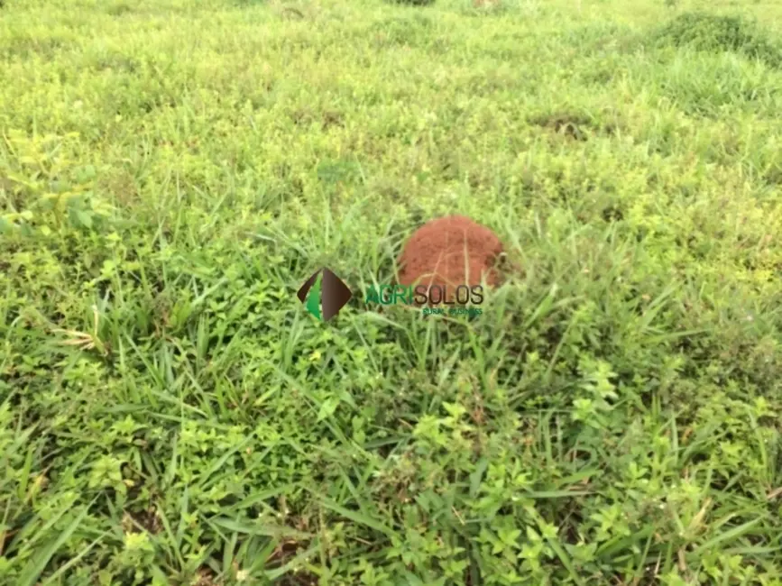 Foto 4 de Fazenda / Haras à venda, 3600m2 em Porto Franco - MA