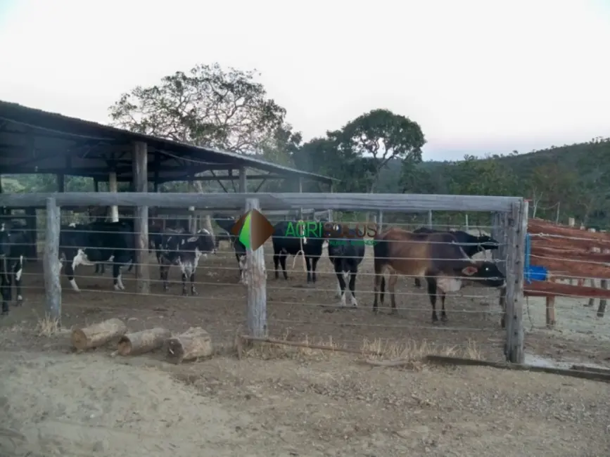 Foto 4 de Fazenda / Haras à venda, 121m2 em Luziania - GO
