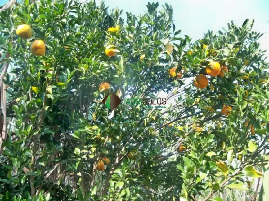 Foto 9 de Fazenda / Haras à venda, 121m2 em Luziania - GO