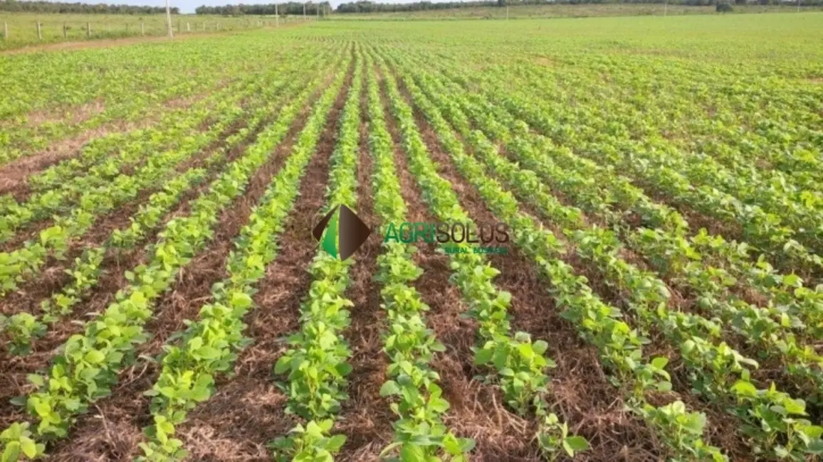 Foto 1 de Fazenda / Haras à venda, 2000m2 em Canarana - MT