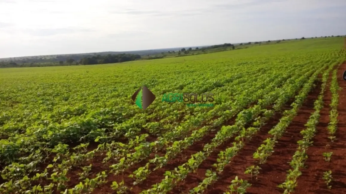 Foto 3 de Fazenda / Haras à venda, 2000m2 em Canarana - MT