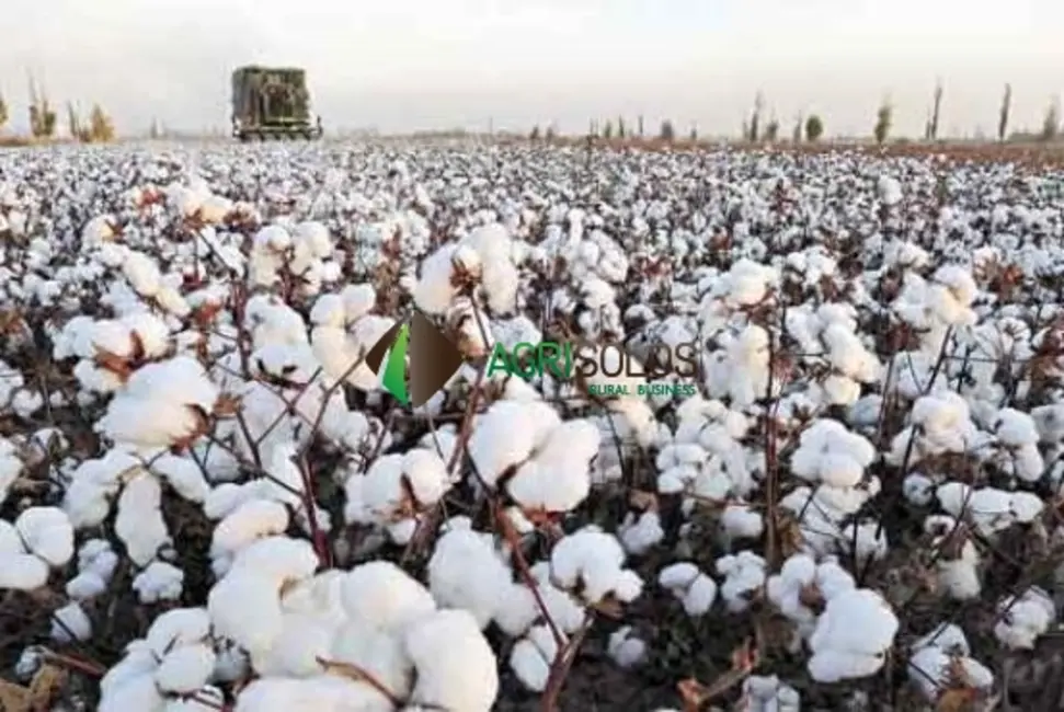 Fazenda / Haras à venda, 105000m2 em Santa Maria Da Vitoria - BA - imagem 1 Foto 1 de Fazenda / Haras à venda, 105000m2 em Santa Maria Da Vitoria - BA