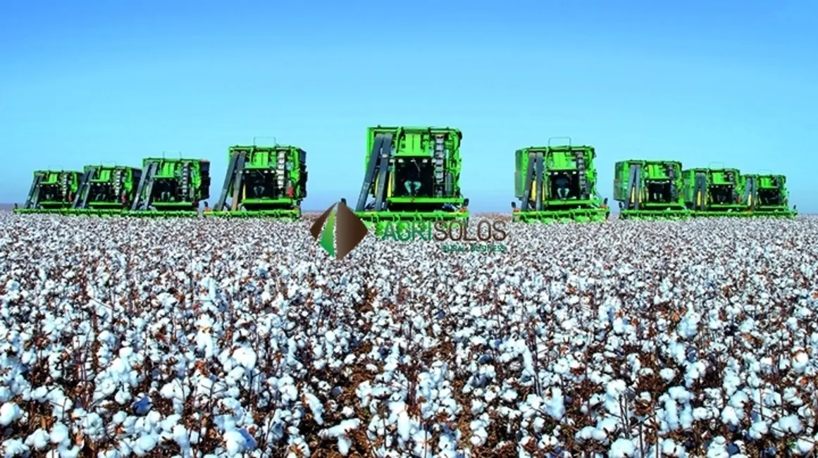 Fazenda / Haras à venda, 105000m2 em Santa Maria Da Vitoria - BA - imagem 4 Foto 4 de Fazenda / Haras à venda, 105000m2 em Santa Maria Da Vitoria - BA