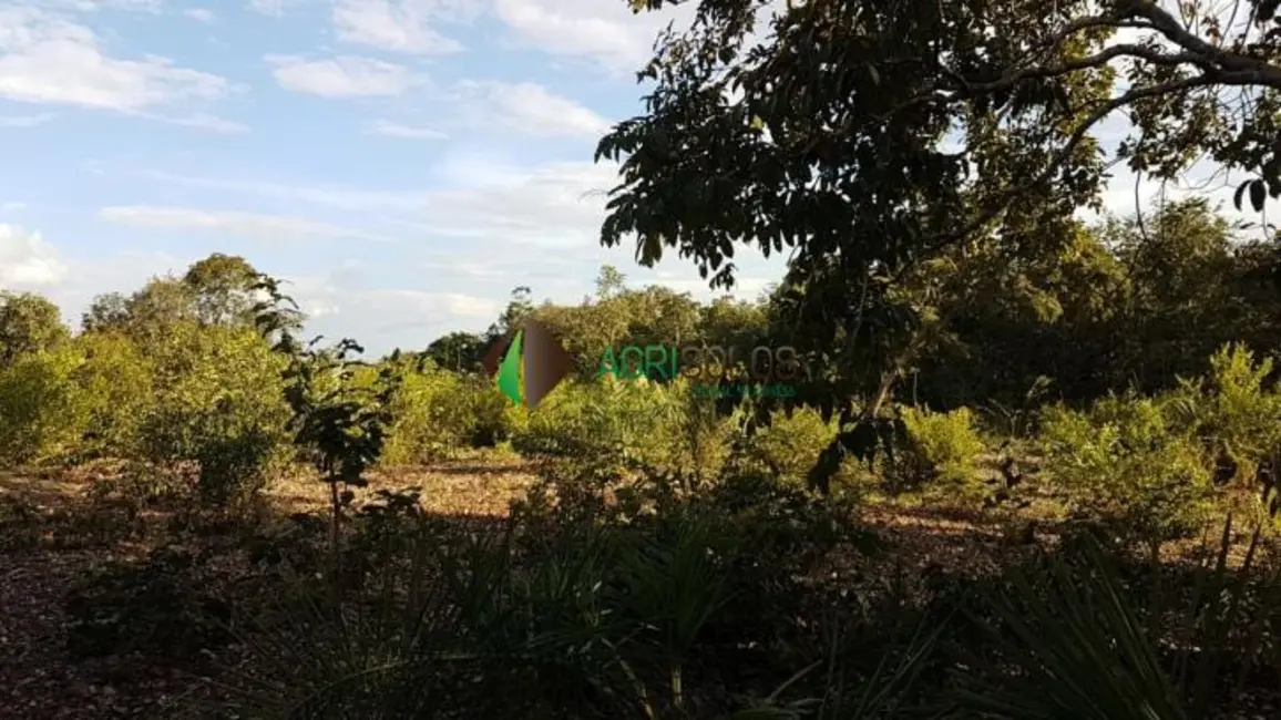 Foto 4 de Fazenda / Haras à venda, 92m2 em Uruacu - GO