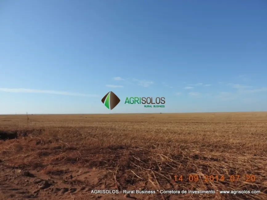 Fazenda / Haras à venda, 30000m2 em Baixa Grande Do Ribeiro - PI - imagem 8 Foto 8 de Fazenda / Haras à venda, 30000m2 em Baixa Grande Do Ribeiro - PI