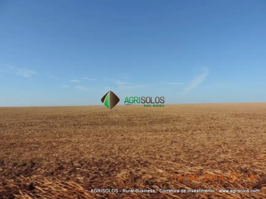 Fazenda / Haras à venda, 30000m2 em Baixa Grande Do Ribeiro - PI - imagem 5 Foto 5 de Fazenda / Haras à venda, 30000m2 em Baixa Grande Do Ribeiro - PI