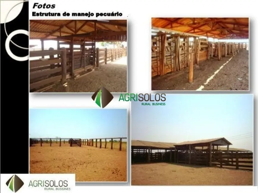 Fazenda / Haras à venda, 42000m2 em Cuiaba - MT - imagem 3 Foto 3 de Fazenda / Haras à venda, 42000m2 em Cuiaba - MT