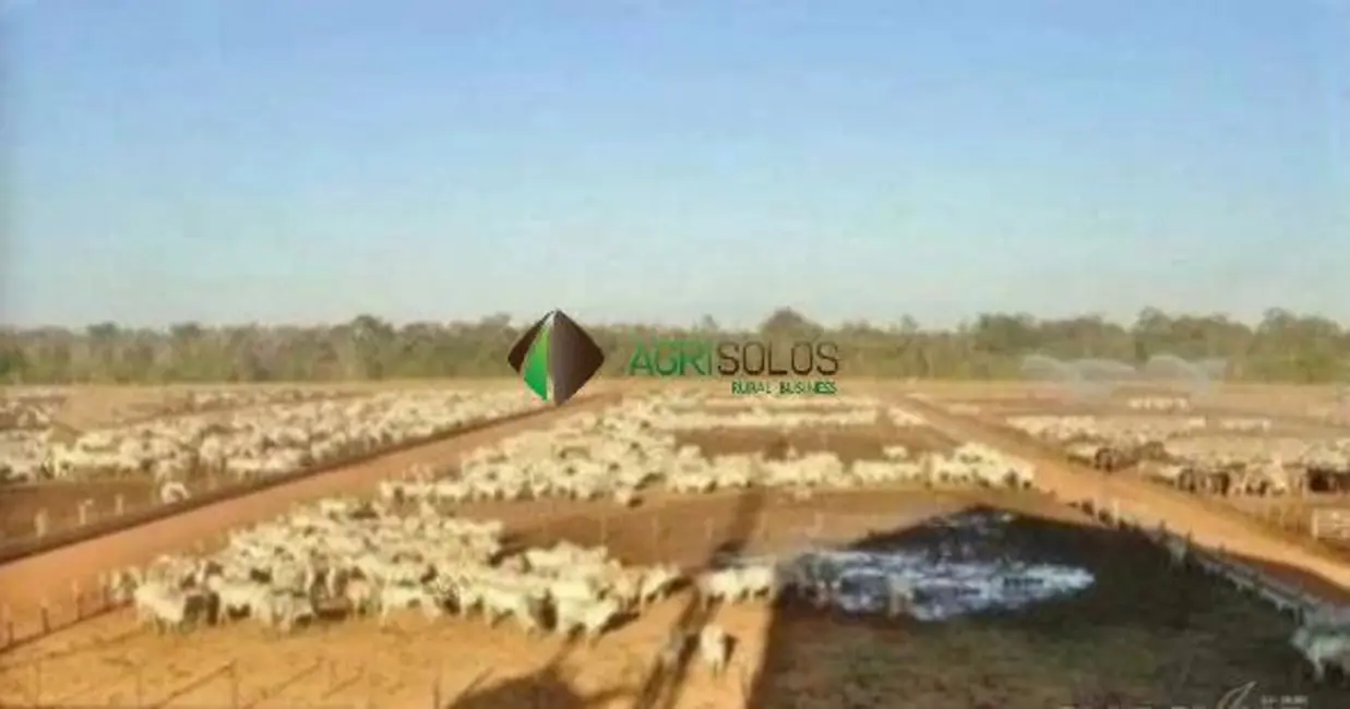 Foto 42 de Fazenda / Haras à venda, 11800m2 em Goiania - GO