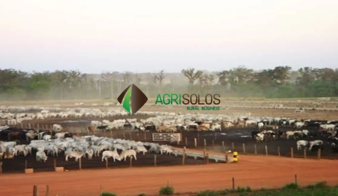 Fazenda / Haras à venda, 11800m2 em Goiania - GO - imagem 9 Foto 9 de Fazenda / Haras à venda, 11800m2 em Goiania - GO