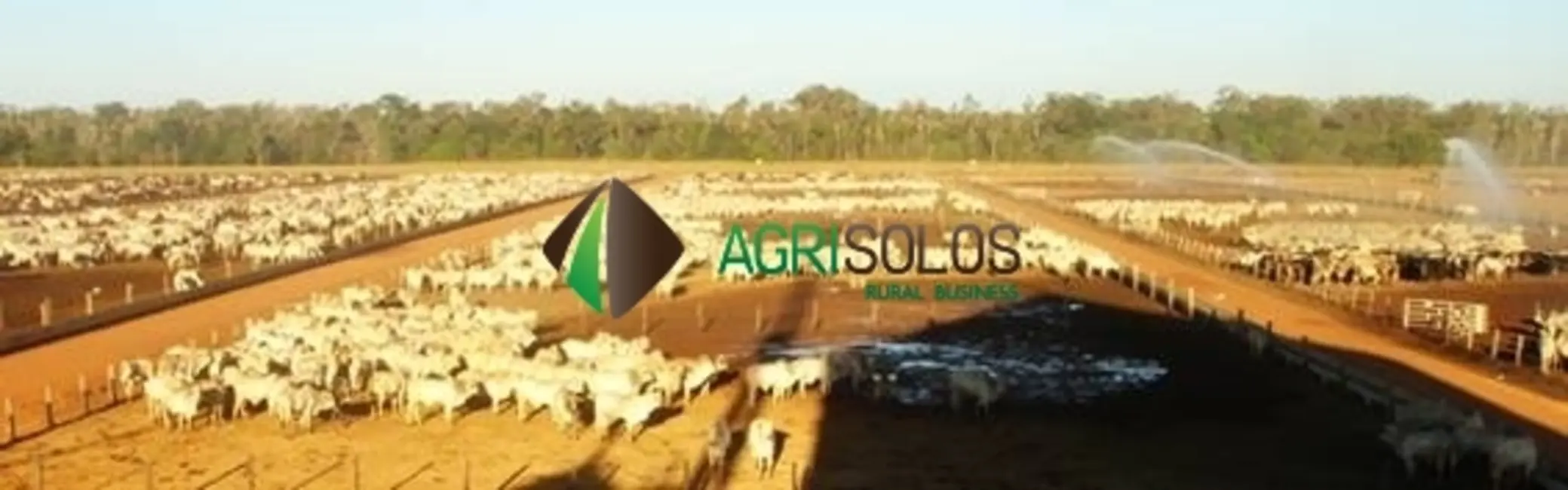 Fazenda / Haras à venda, 11800m2 em Goiania - GO - imagem 4 Foto 4 de Fazenda / Haras à venda, 11800m2 em Goiania - GO