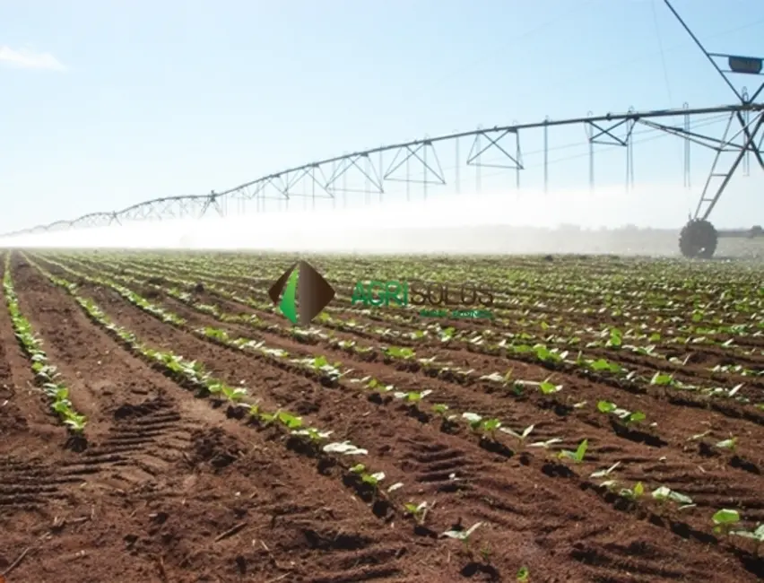 Foto 16 de Fazenda / Haras à venda, 11800m2 em Goiania - GO