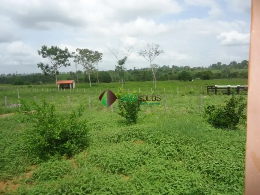 Foto 8 de Fazenda / Haras à venda, 8800m2 em Paragominas - PA