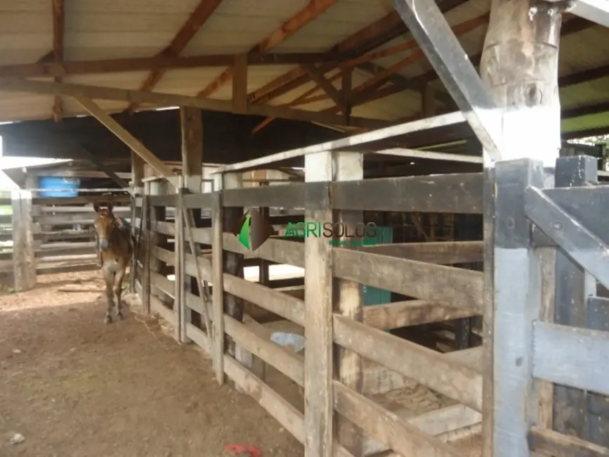 Foto 2 de Fazenda / Haras à venda, 8800m2 em Paragominas - PA
