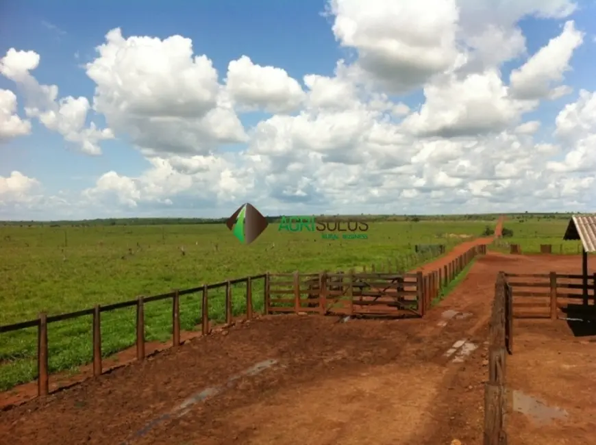 Foto 5 de Fazenda / Haras à venda, 30000m2 em Confresa - MT