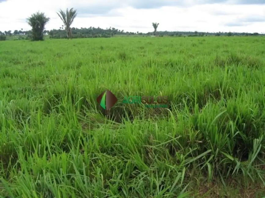 Foto 4 de Fazenda / Haras à venda, 45900m2 em Querencia - MT