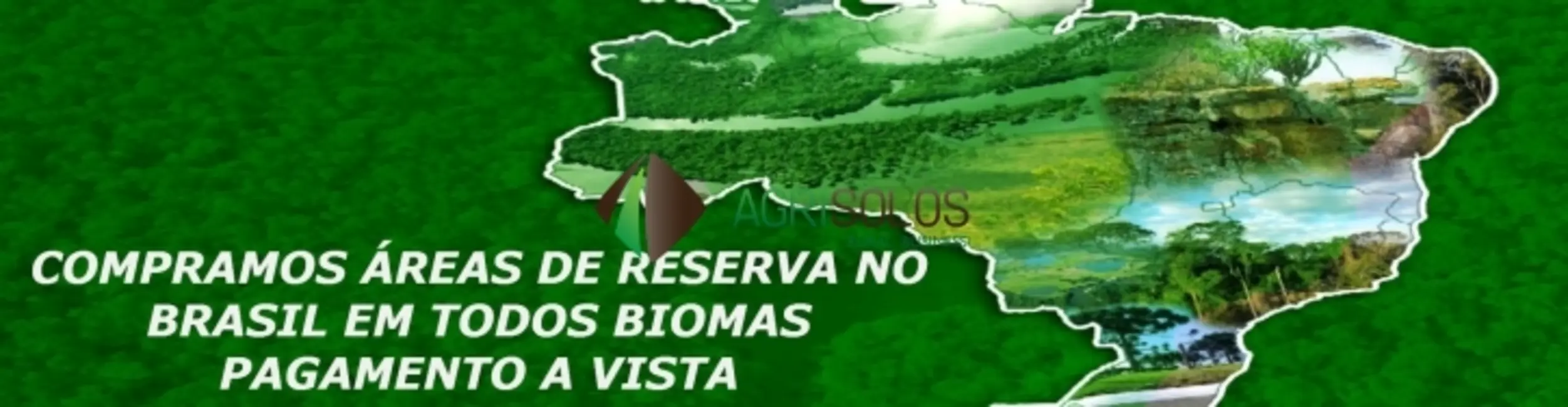 Foto 1 de Fazenda / Haras à venda, 5000m2 em Alto Parnaiba - MA