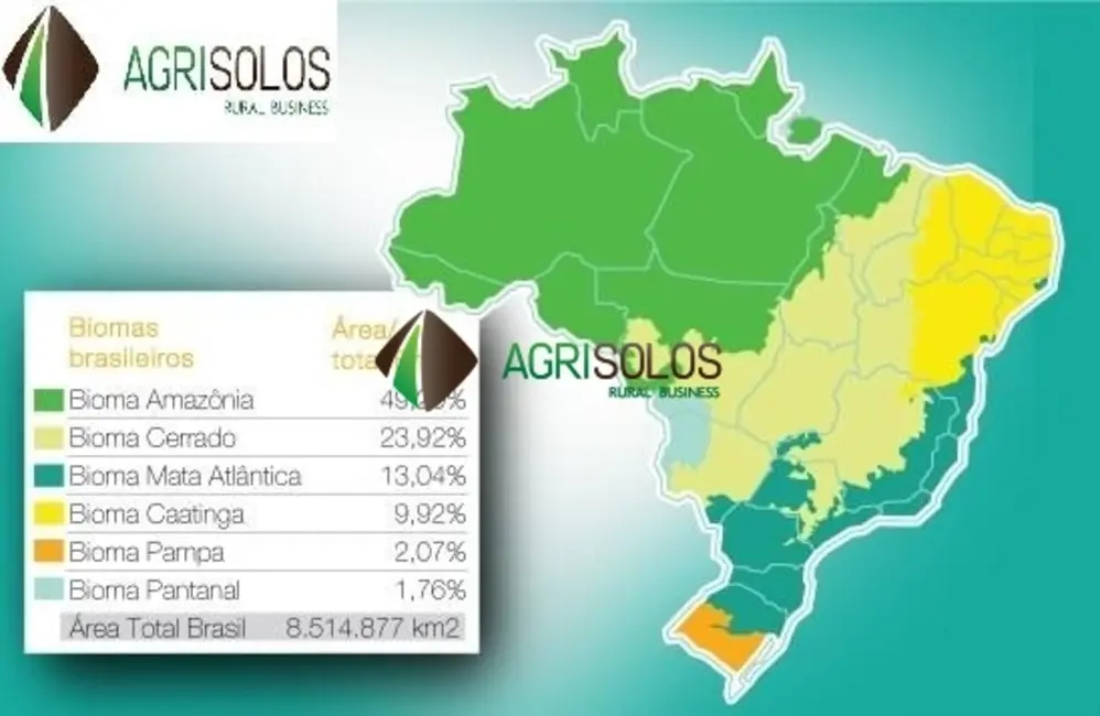 Foto 4 de Fazenda / Haras à venda, 5000m2 em Alto Parnaiba - MA