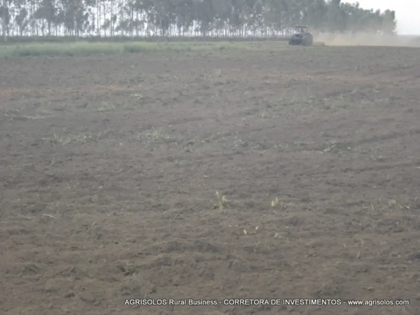 Fazenda / Haras à venda, 4000m2 em Baixa Grande Do Ribeiro - PI - imagem 2 Foto 2 de Fazenda / Haras à venda, 4000m2 em Baixa Grande Do Ribeiro - PI