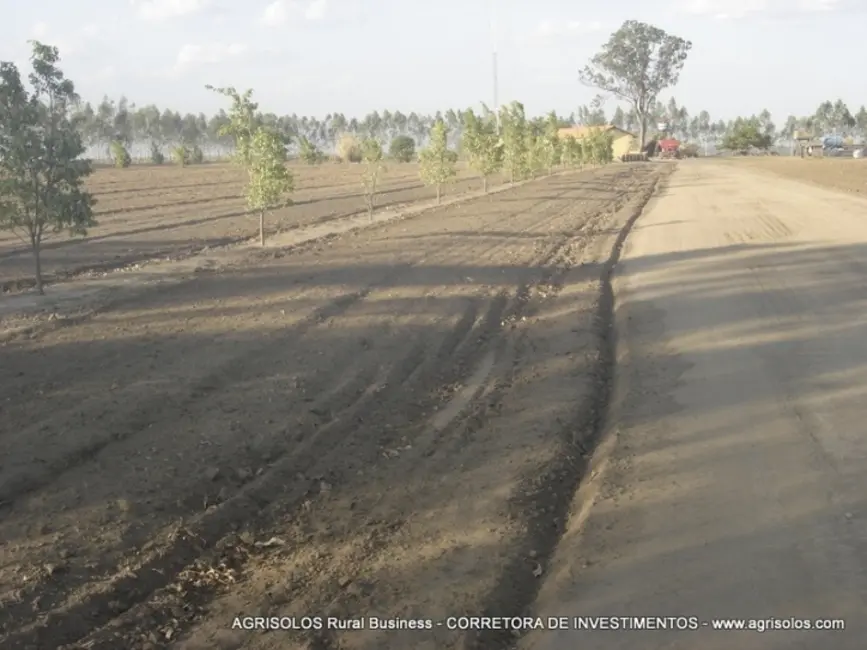 Fazenda / Haras à venda, 4000m2 em Baixa Grande Do Ribeiro - PI - imagem 4 Foto 4 de Fazenda / Haras à venda, 4000m2 em Baixa Grande Do Ribeiro - PI