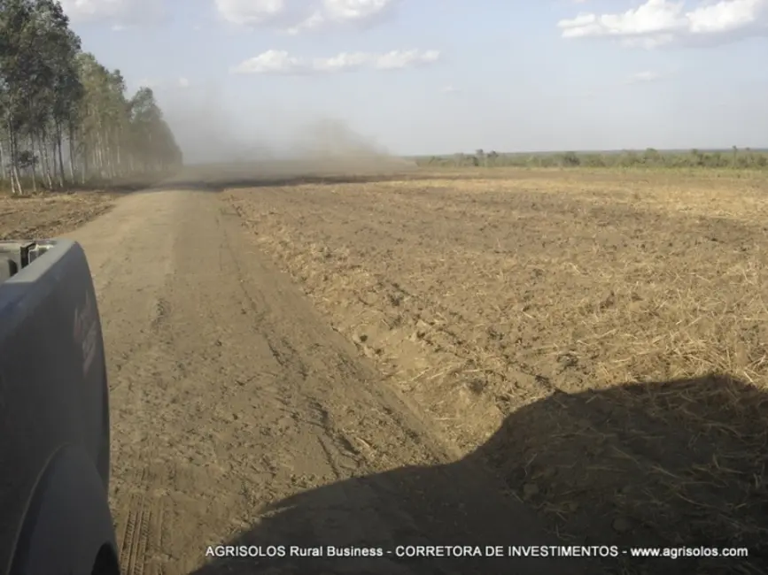 Fazenda / Haras à venda, 4000m2 em Baixa Grande Do Ribeiro - PI - imagem 5 Foto 5 de Fazenda / Haras à venda, 4000m2 em Baixa Grande Do Ribeiro - PI