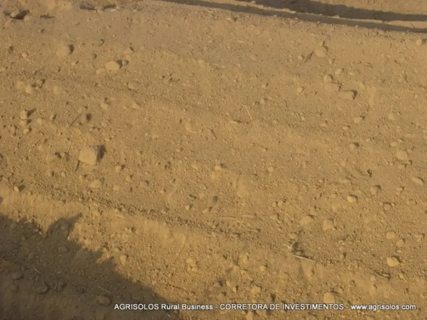 Fazenda / Haras à venda, 4000m2 em Baixa Grande Do Ribeiro - PI - imagem 9 Foto 9 de Fazenda / Haras à venda, 4000m2 em Baixa Grande Do Ribeiro - PI