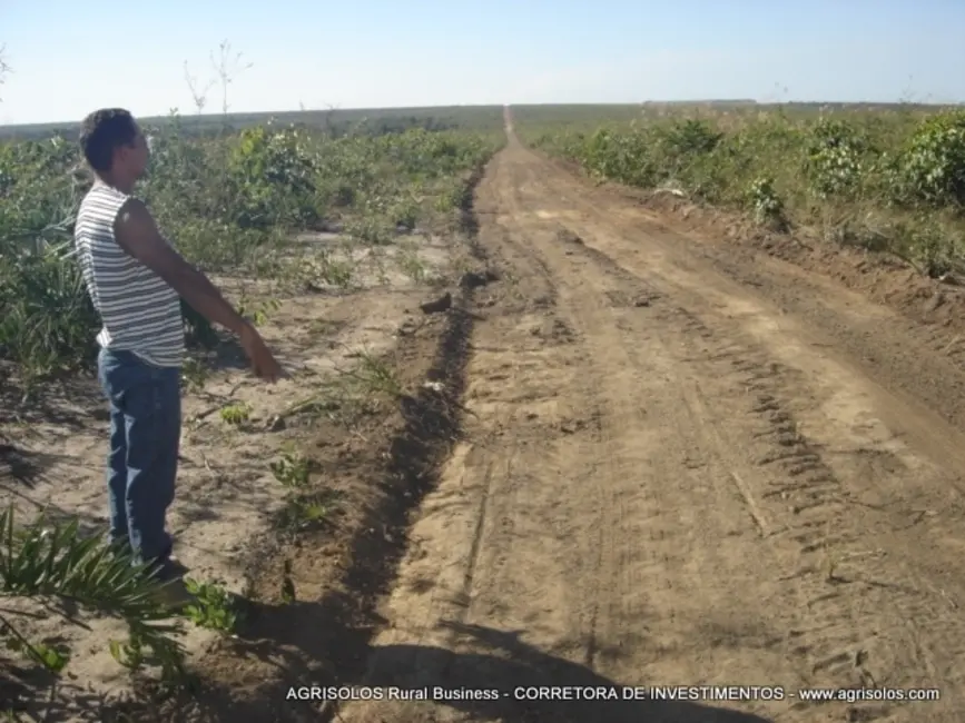 Fazenda / Haras à venda, 4000m2 em Baixa Grande Do Ribeiro - PI - imagem 8 Foto 8 de Fazenda / Haras à venda, 4000m2 em Baixa Grande Do Ribeiro - PI
