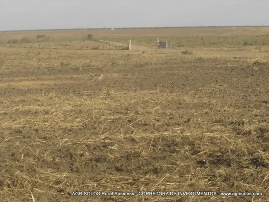Fazenda / Haras à venda, 4000m2 em Baixa Grande Do Ribeiro - PI - imagem 7 Foto 7 de Fazenda / Haras à venda, 4000m2 em Baixa Grande Do Ribeiro - PI