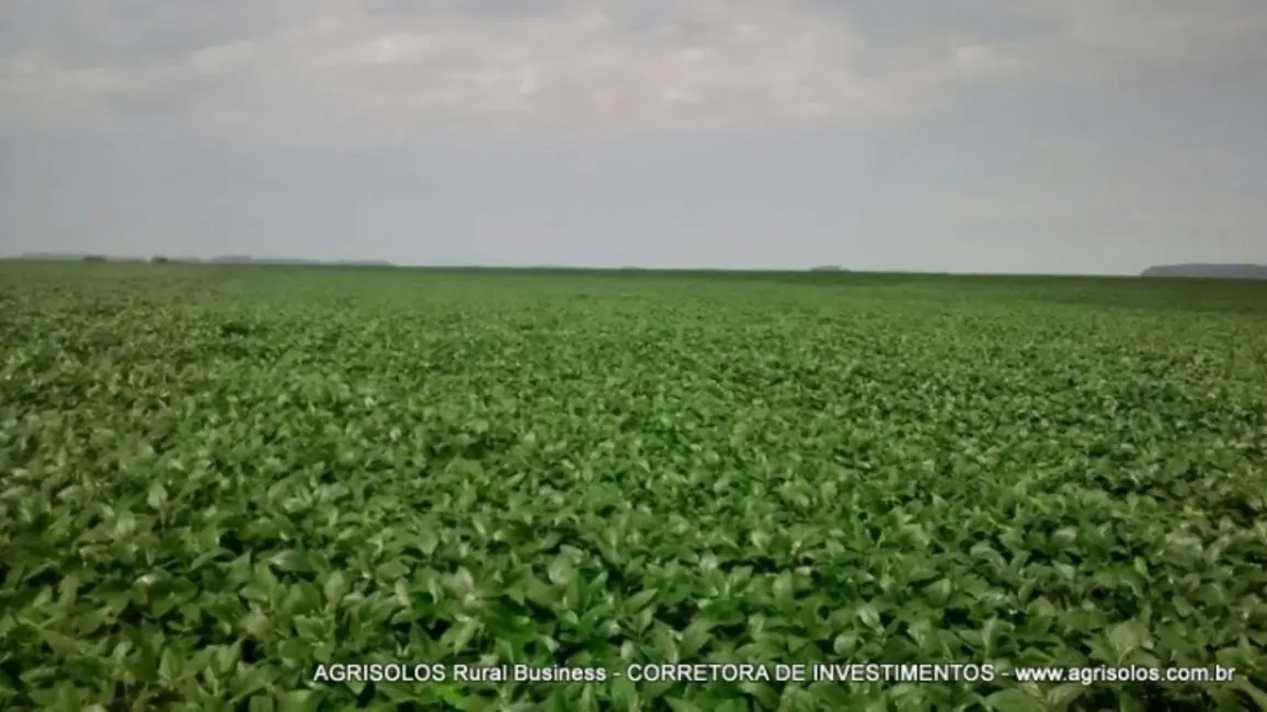 Fazenda / Haras à venda, 2500m2 em Rondonopolis - MT - imagem 4 Foto 4 de Fazenda / Haras à venda, 2500m2 em Rondonopolis - MT