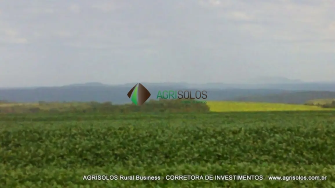 Fazenda / Haras à venda, 2500m2 em Rondonopolis - MT - imagem 3 Foto 3 de Fazenda / Haras à venda, 2500m2 em Rondonopolis - MT