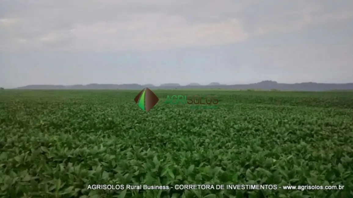 Fazenda / Haras à venda, 2500m2 em Rondonopolis - MT - imagem 6 Foto 6 de Fazenda / Haras à venda, 2500m2 em Rondonopolis - MT