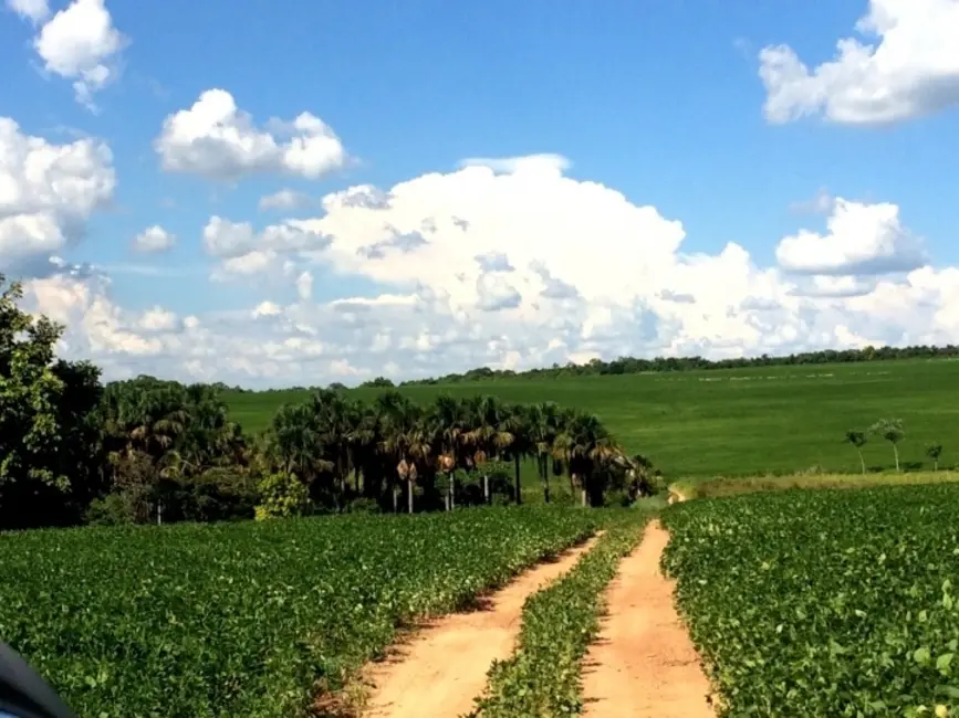 Foto 8 de Fazenda / Haras à venda, 3310m2 em Indiara - GO