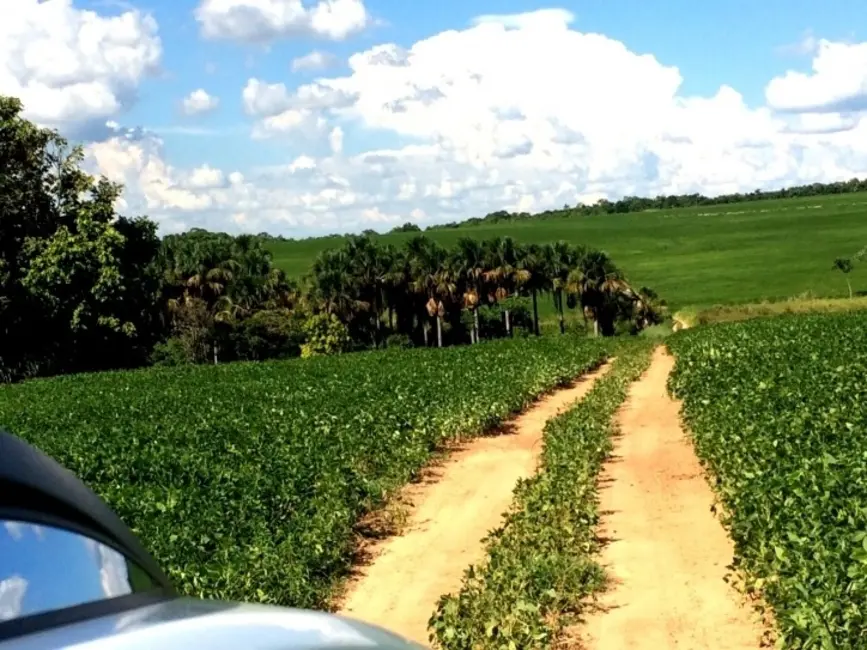 Foto 6 de Fazenda / Haras à venda, 3310m2 em Indiara - GO